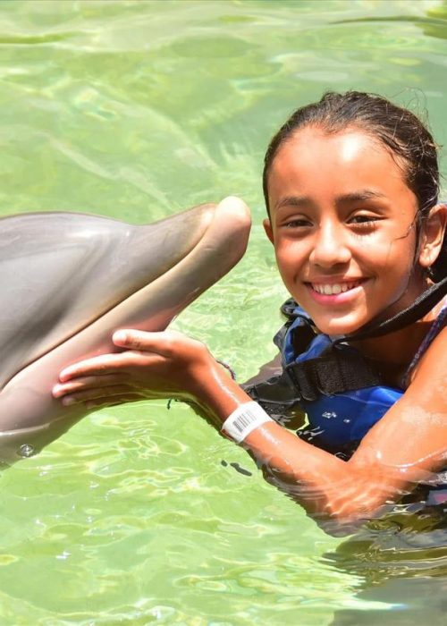 WhatsApp Image 2025-06-18 at 8.34.02 PM